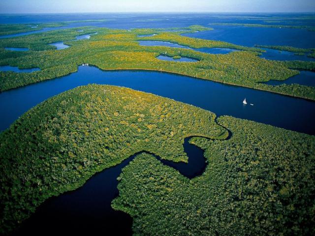 Everglades en un día