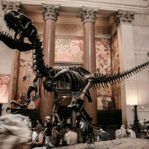 Museo de Ciencias e Historia Natural