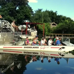 Excursión privada a los Everglades con recorrido opcional por la ciudad de Miami